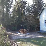 Szalay Veszprém