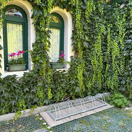 Szalay Bed & Breakfast Veszprém